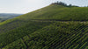 VDP.GROSSE LAGE® SCHARZHOFBERGER