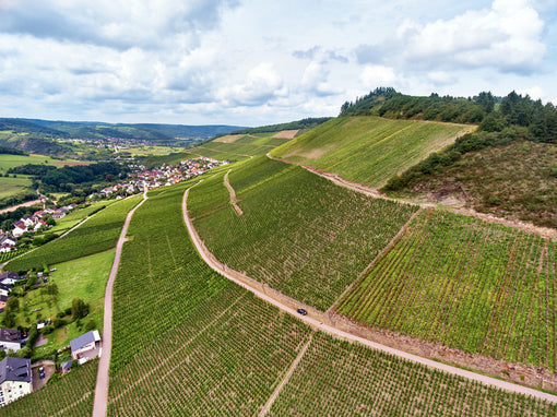 VDP.GROSSE LAGE® BOCKSTEIN