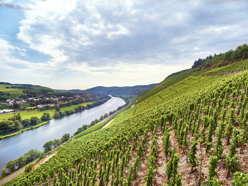 VDP.GROSSE LAGE® JUFFER SONNENUHR