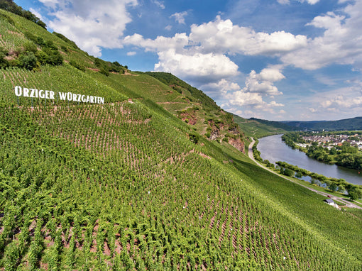 VDP.GROSSE LAGE® WÜRZGARTEN