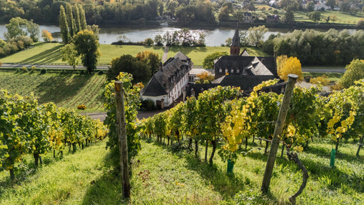 DER JOSEPHSHOF AN DER MOSEL