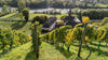 DER JOSEPHSHOF AN DER MOSEL