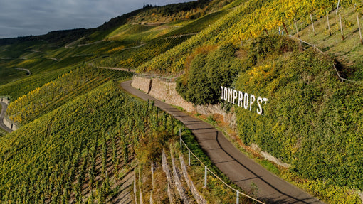 VDP.GROSSE LAGE® DOMPROBST