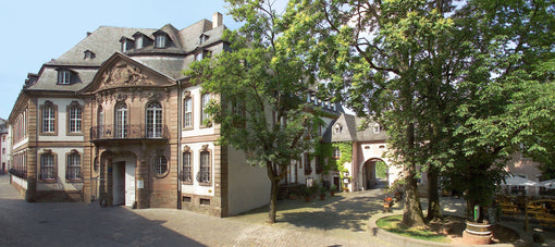 PALAIS KESSELSTATT IN TRIER