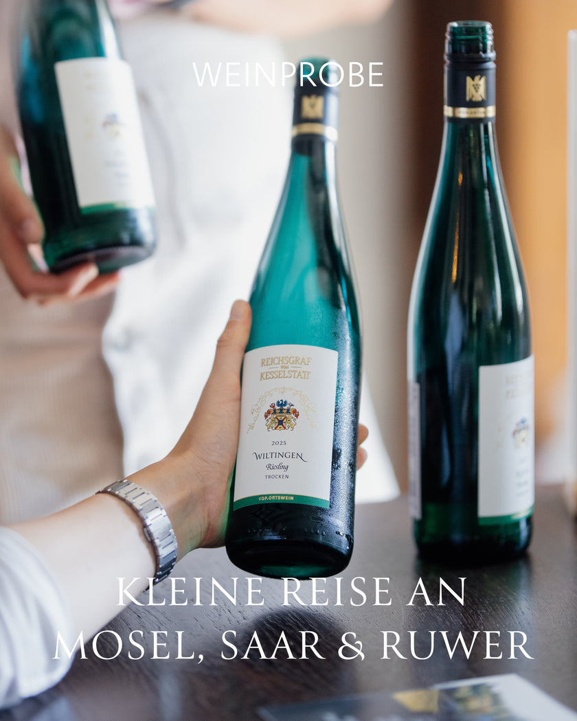 WEINPROBE - Kleine Reise an Mosel, Saar & Ruwer